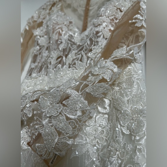 Pronovias Dione wedding dress - Picture 16 of 17